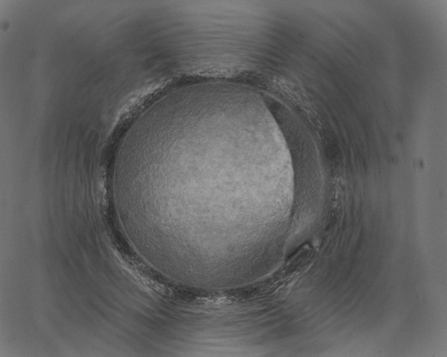 X0000065230688200603031714