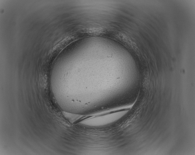X0000065230689200603031714