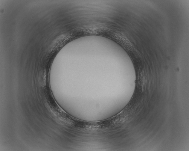 X0000065230694200603031714