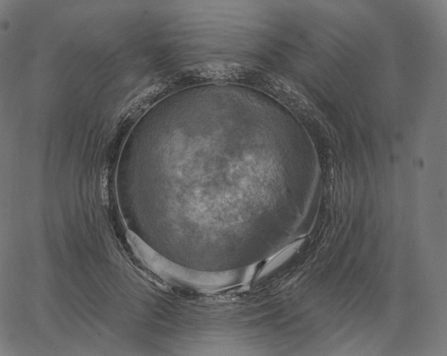 X0000065230696200603031713