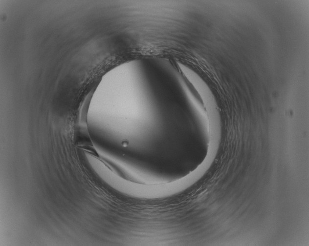 X0000065230697200603031713
