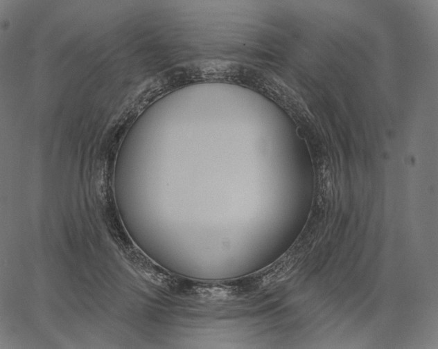 X0000065230698200603031713