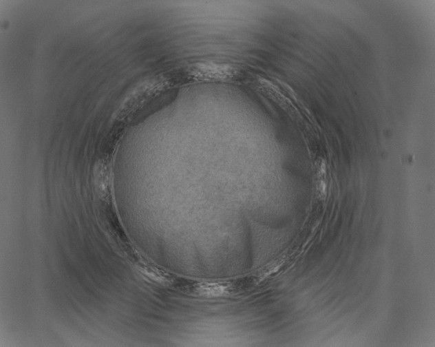 X0000065230701200603031713