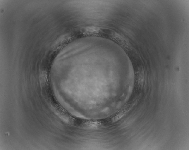 X0000065230711200603031713