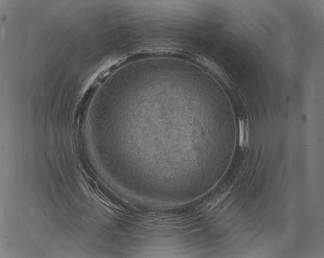 X0000065230723200603031712