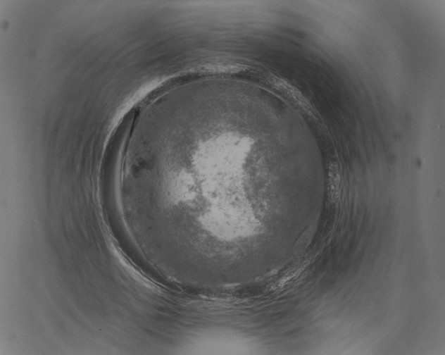 X0000065230726200603031712