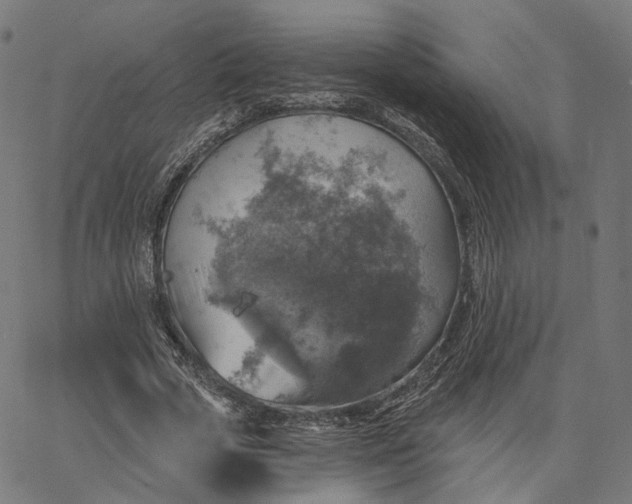 X0000065230729200603031712