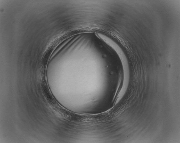 X0000065230736200603031713