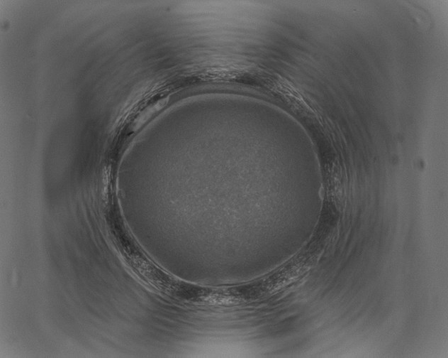 X0000065230742200603031713