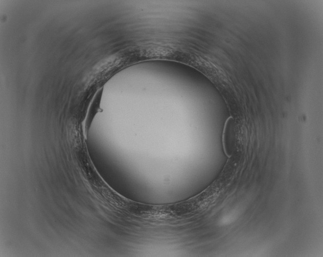X0000065230743200603031713