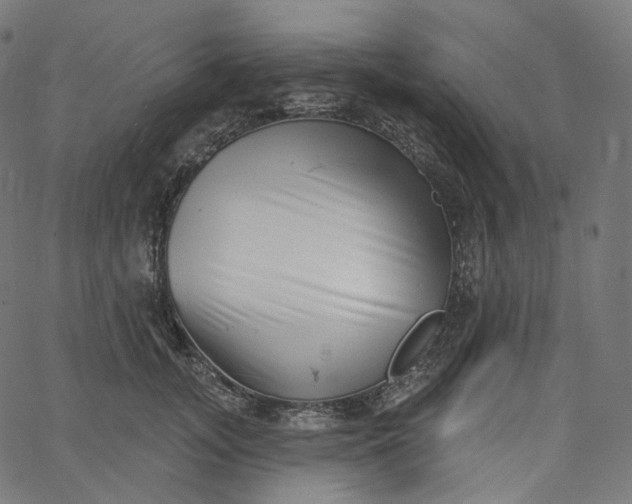 X0000065230755200603031713