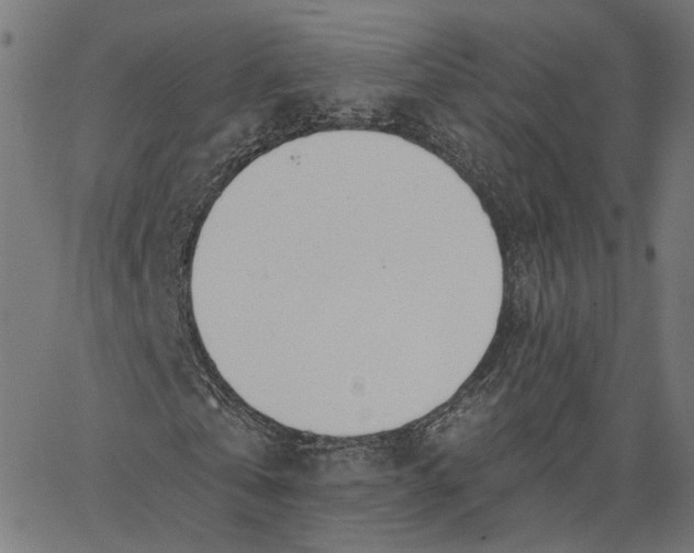 X0000065230769200603031712