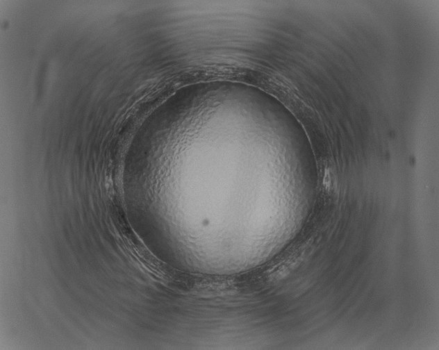 X0000065230771200603031712