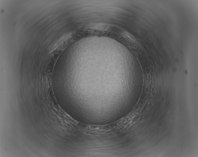 X0000065230774200603031712