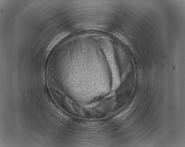 X0000065230782200603031712