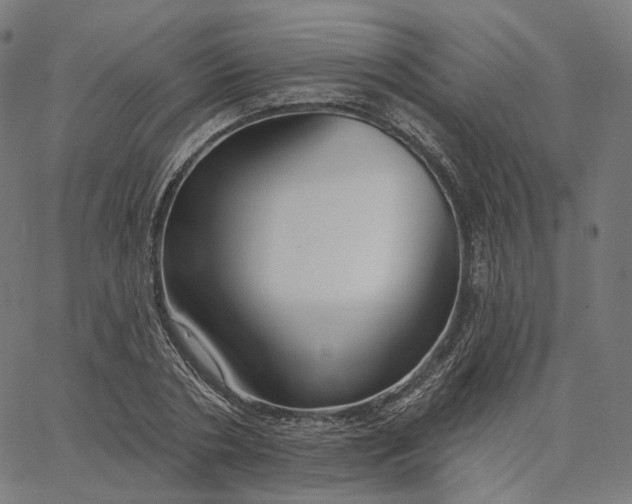X0000065230786200603031712