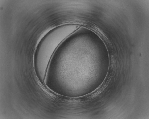 X0000065230788200603031712