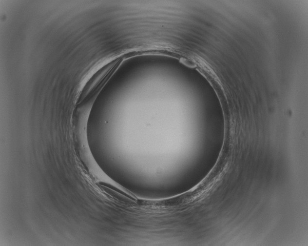 X0000065230789200603031712