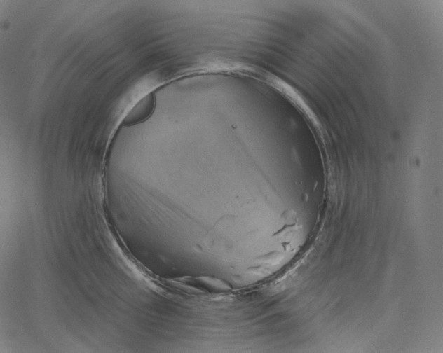 X0000065230810200603031712
