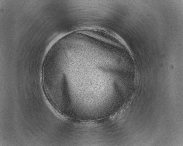 X0000065230811200603031712