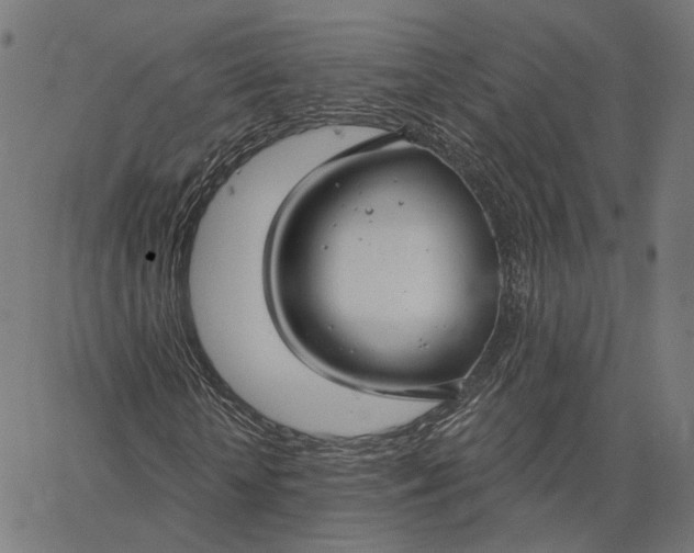 X0000065230818200603031711