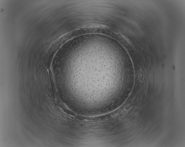 X0000065230821200603031711