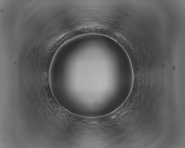 X0000065230822200603031711