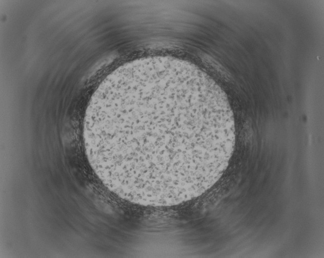 X0000065230824200603031711