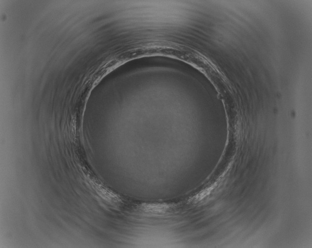 X0000065230825200603031711