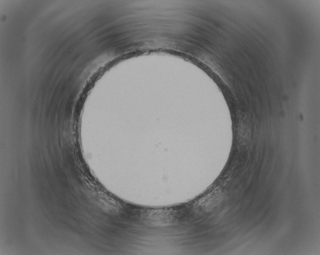 X0000065230832200603031711