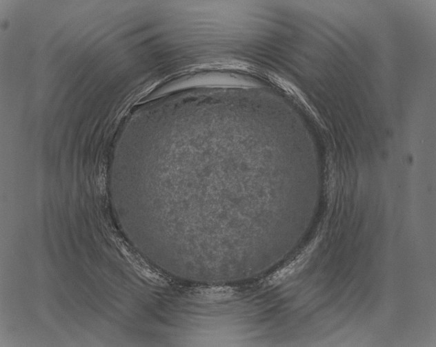 X0000065230833200603031711