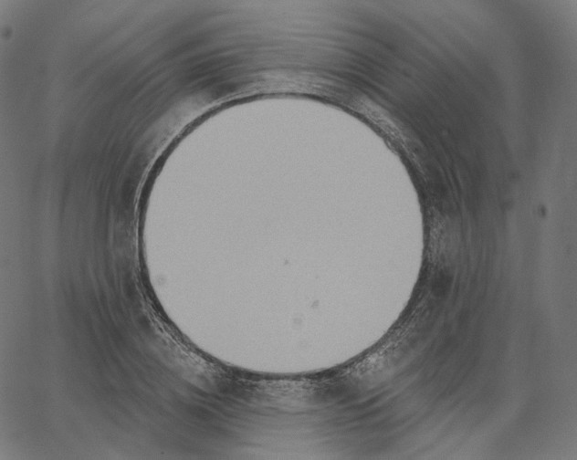 X0000065230836200603031711