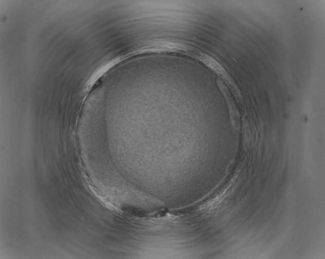 X0000065230842200603031711