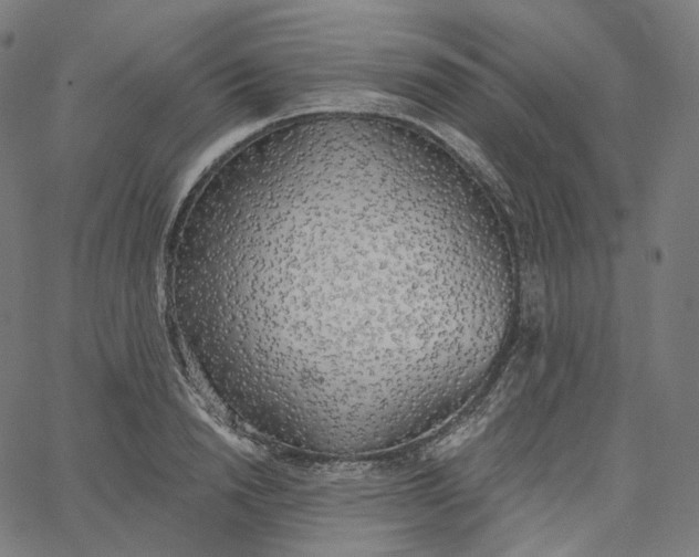 X0000065230846200603031711