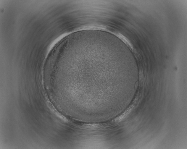 X0000065230854200603031711