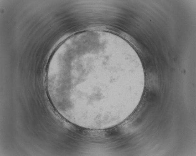 X0000065230856200603031711