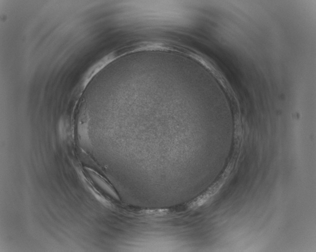 X0000065230858200603031711
