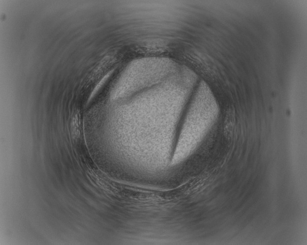 X0000065230866200603031711