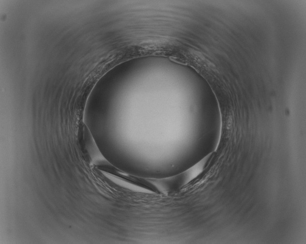 X0000065230868200603031711