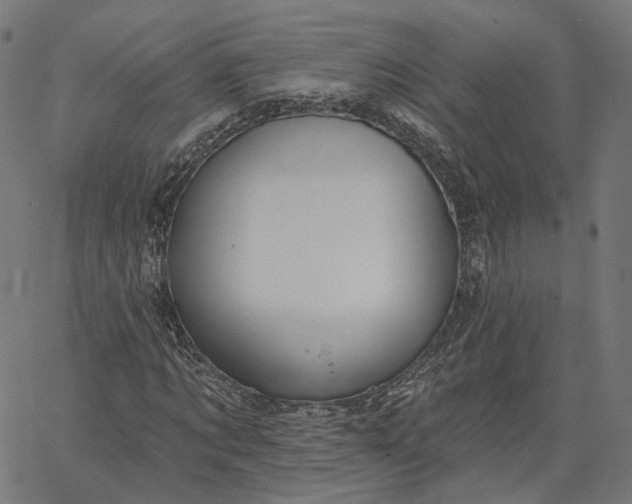 X0000065230869200603031711