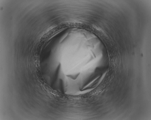 X0000065230870200603031711