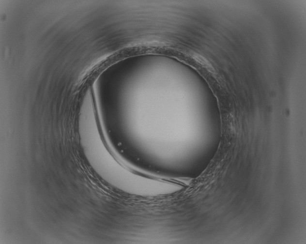 X0000065230872200603031711