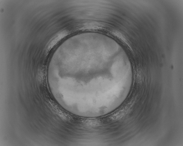 X0000065230874200603031711
