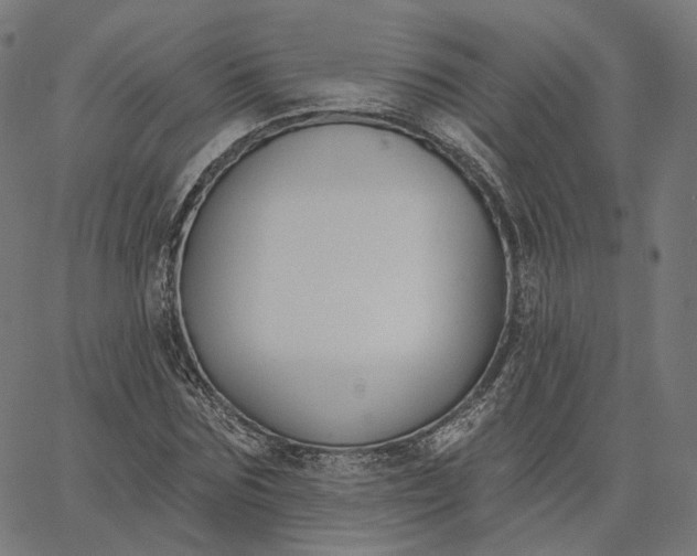 X0000065230875200603031711
