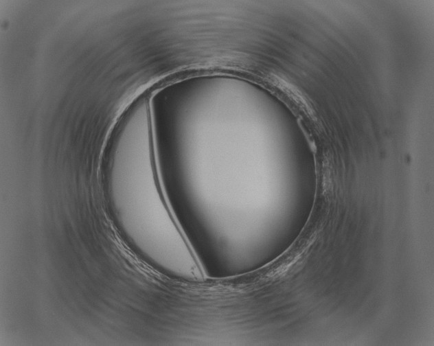 X0000065230876200603031711