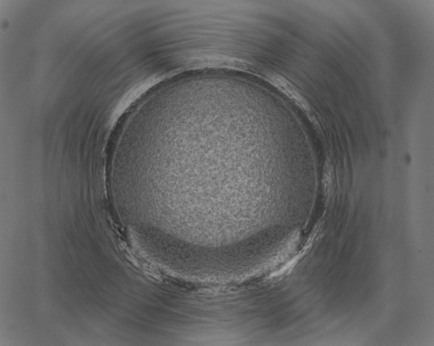 X0000065230877200603031711