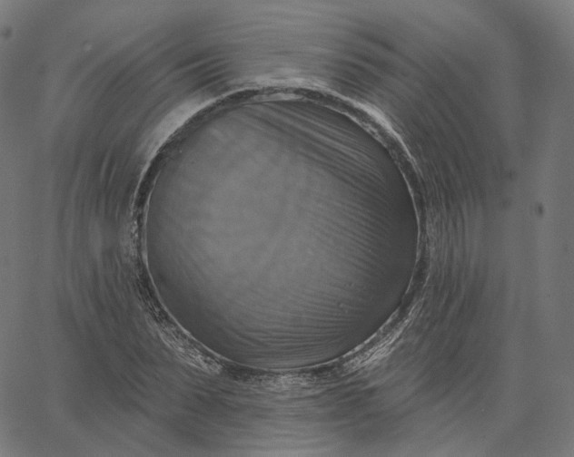 X0000065230879200603031710