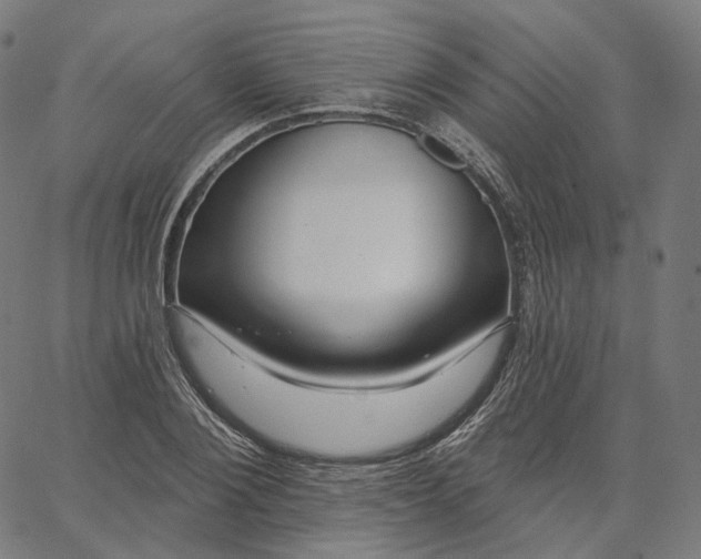 X0000065230884200603031710