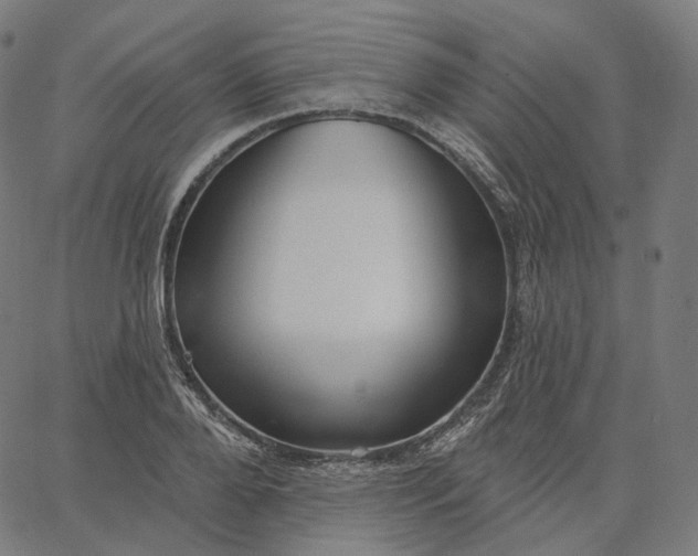 X0000065230888200603031710