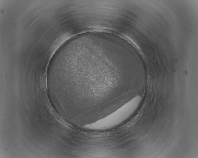 X0000065230891200603031710
